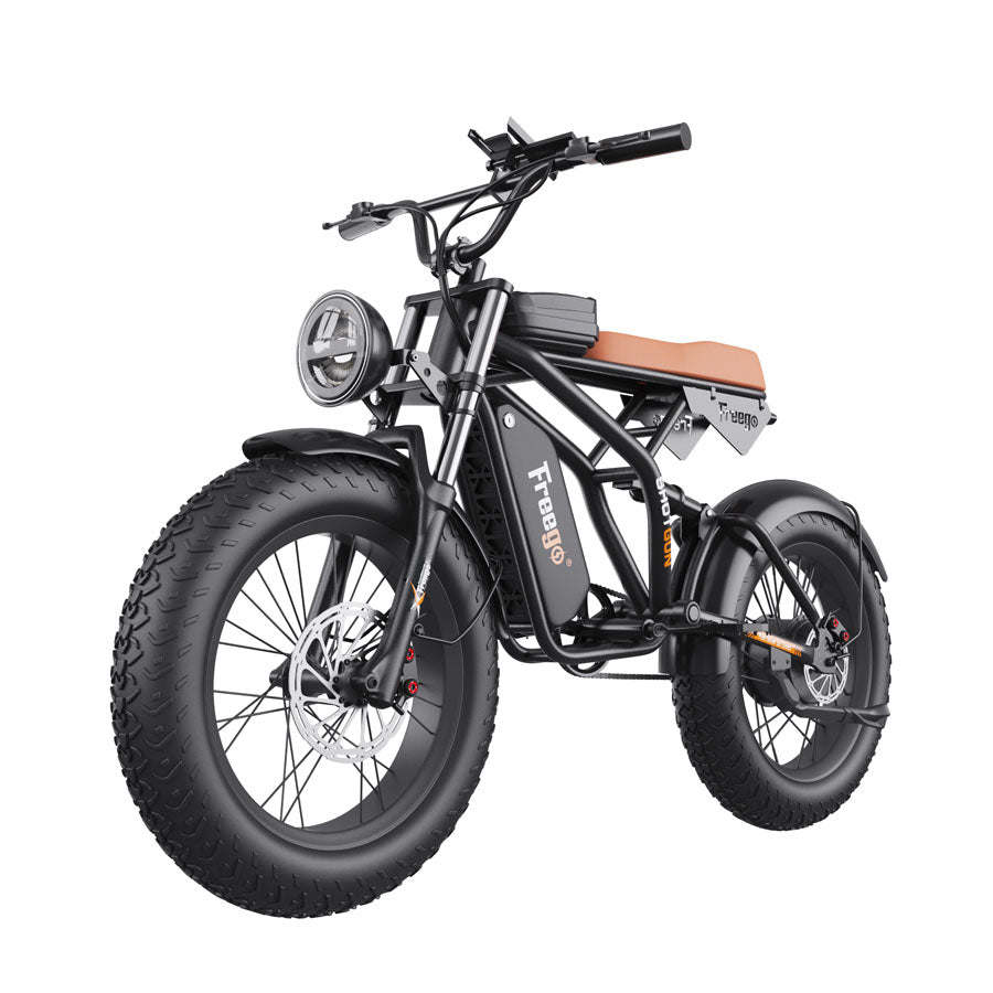 GT01 Fat Tires Off Road Electric Bike